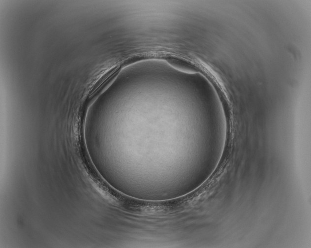 X0000112410105200908141409