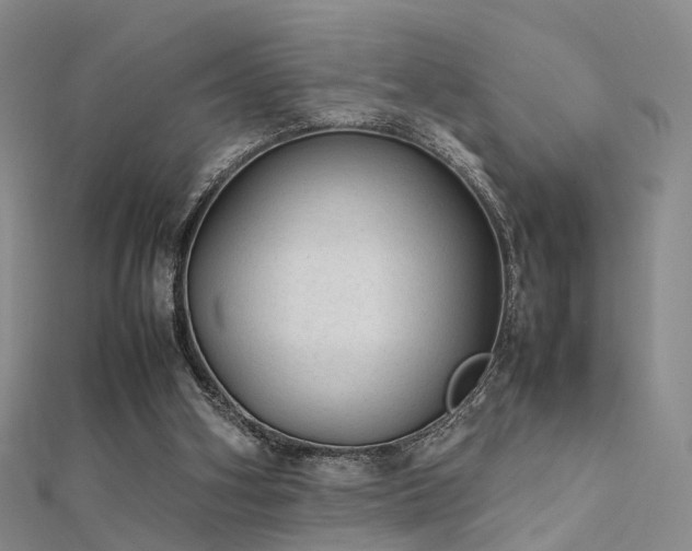 X0000112410106200908141409