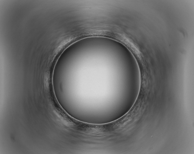 X0000112410107200908141409