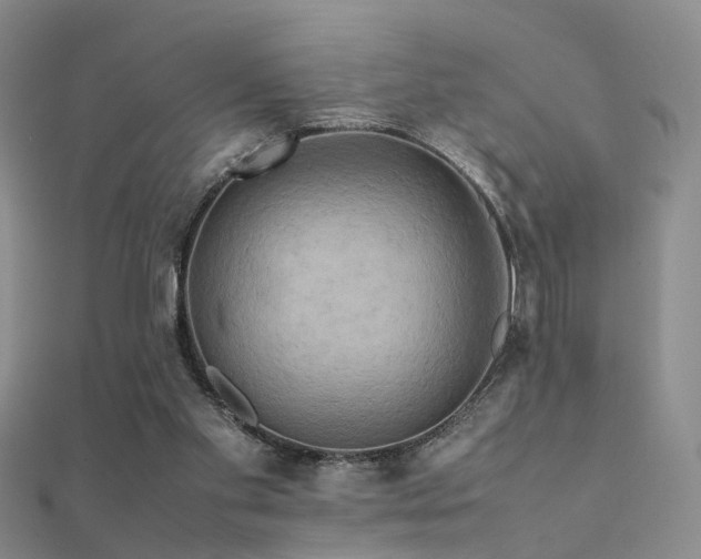 X0000112410109200908141409