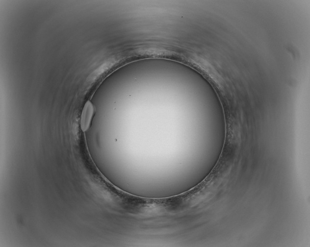 X0000112410111200908141409