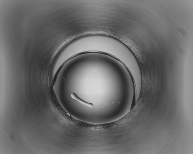 X0000112410112200908141409