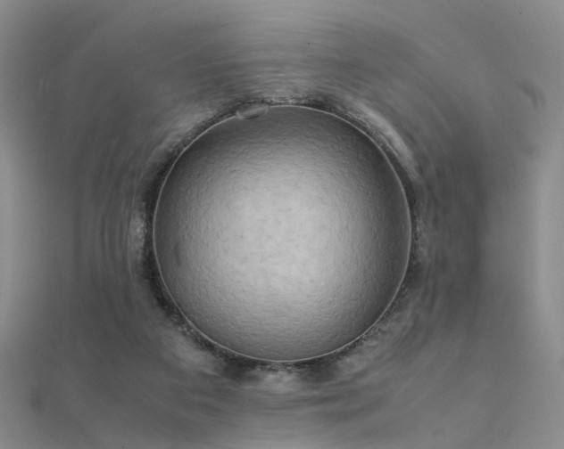 X0000112410113200908141409
