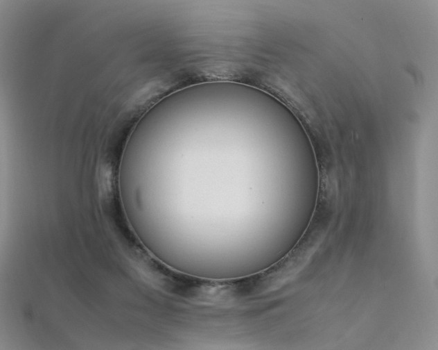 X0000112410117200908141409