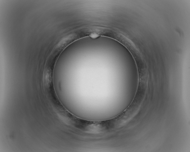 X0000112410119200908141409