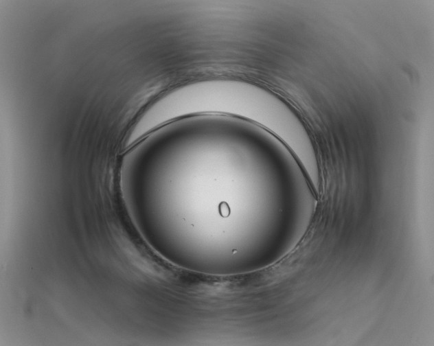 X0000112410120200908141409