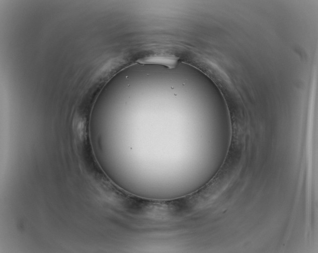 X0000112410123200908141409