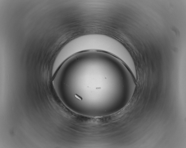 X0000112410124200908141409