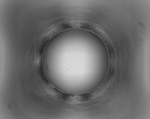 X0000112410125200908141409