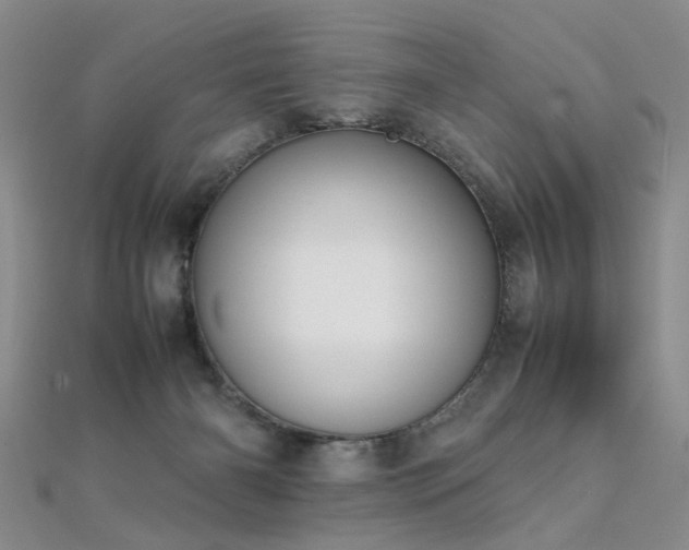 X0000112410126200908141409