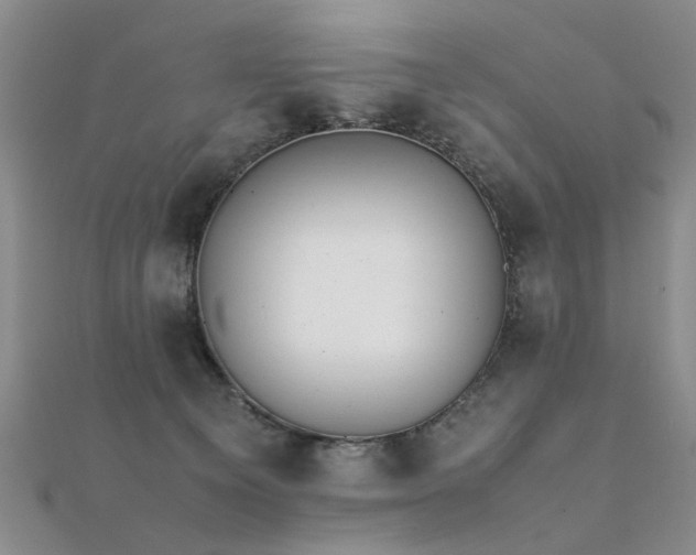 X0000112410129200908141409