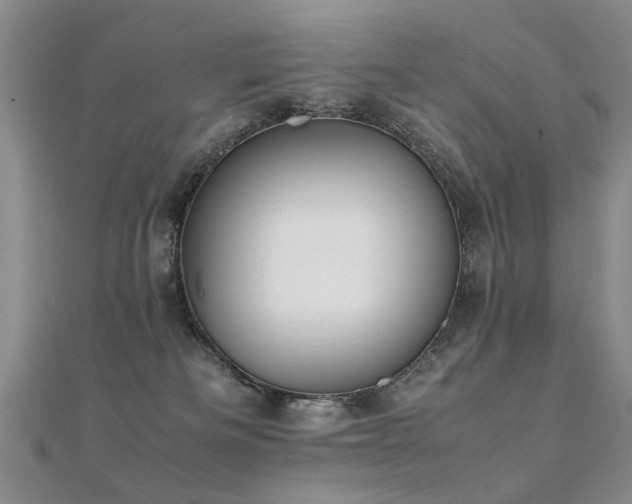 X0000112410133200908141408