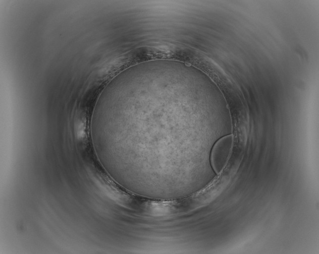 X0000112410134200908141408