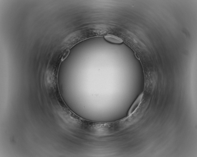 X0000112410136200908141408