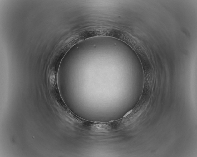 X0000112410137200908141408