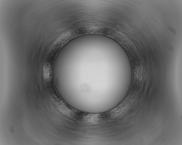 X0000112410138200908141408