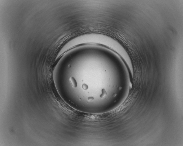 X0000112410140200908141408