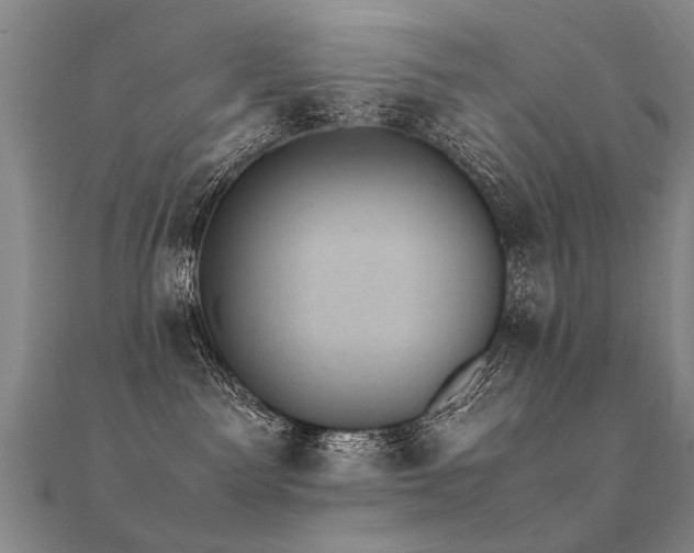 X0000112410141200908141408