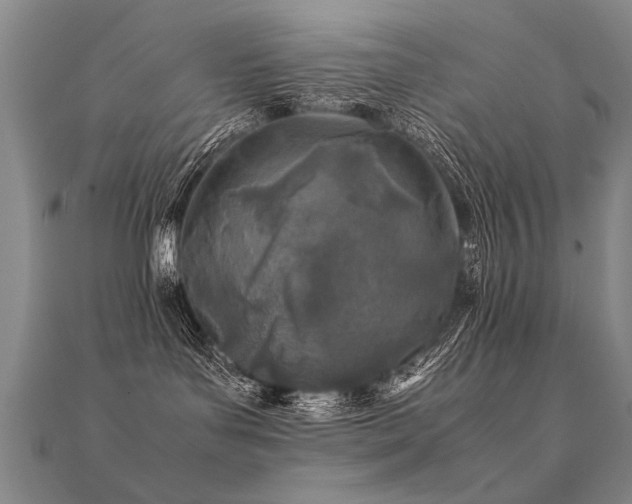 X0000112410143200908141408