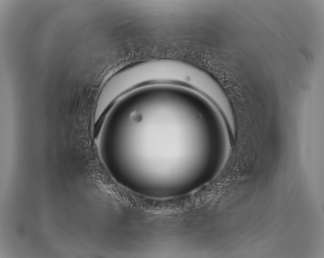 X0000112410144200908141408