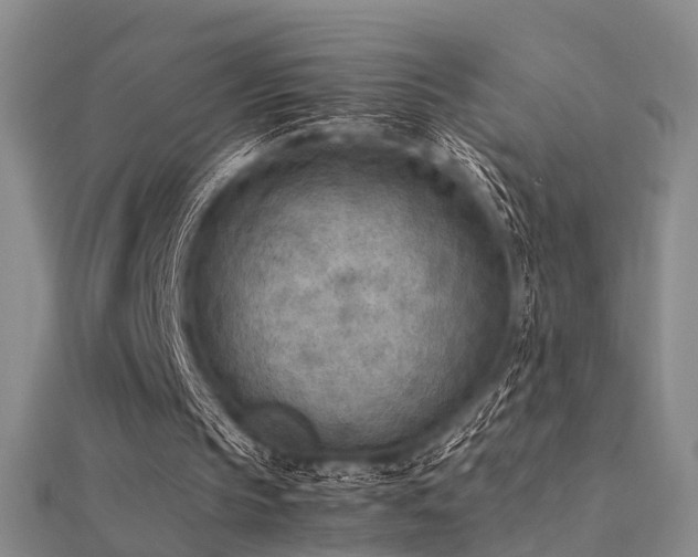 X0000112410145200908141408