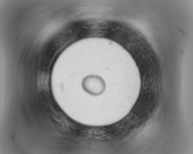 X0000112410146200908141408