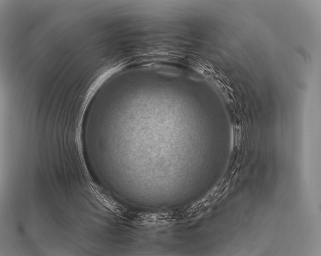 X0000112410147200908141408