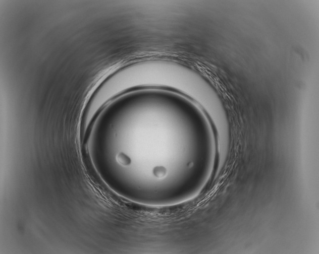 X0000112410148200908141408