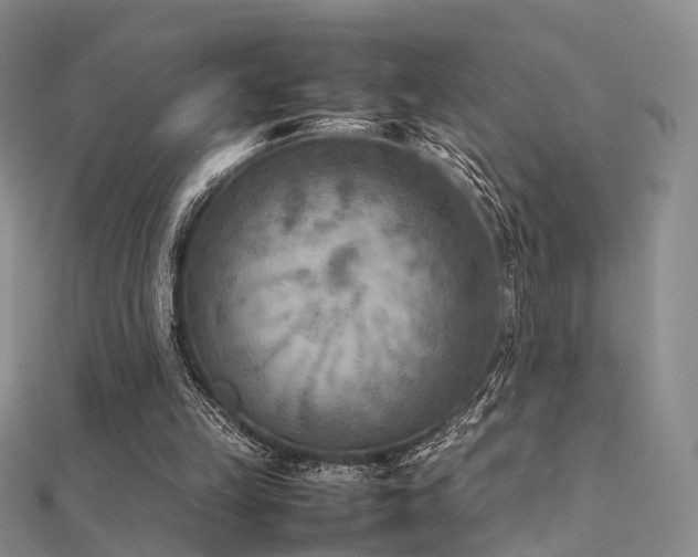 X0000112410149200908141408