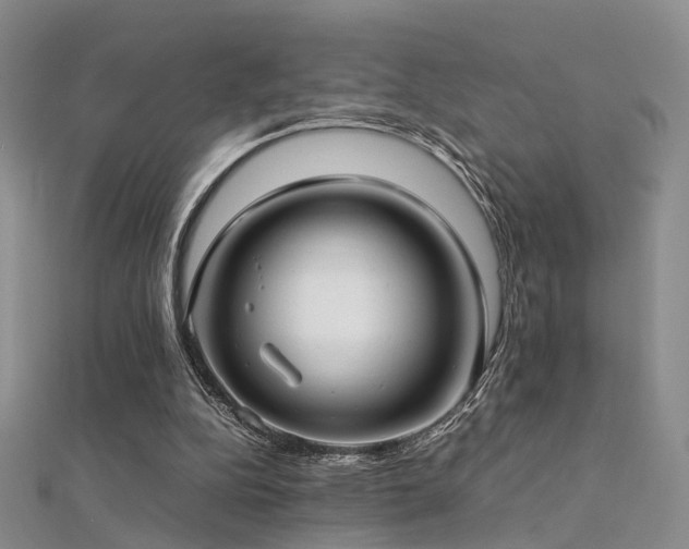 X0000112410152200908141408