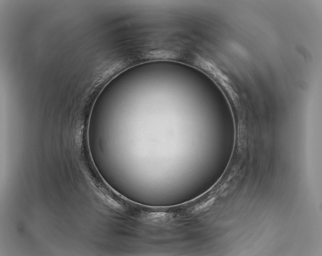 X0000112410153200908141408