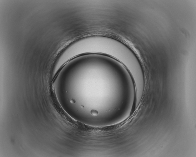 X0000112410154200908141408