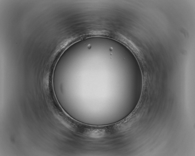 X0000112410155200908141408