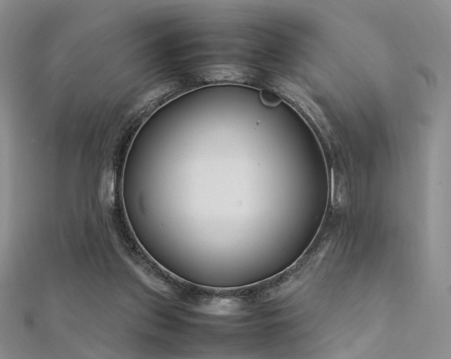 X0000112410157200908141408