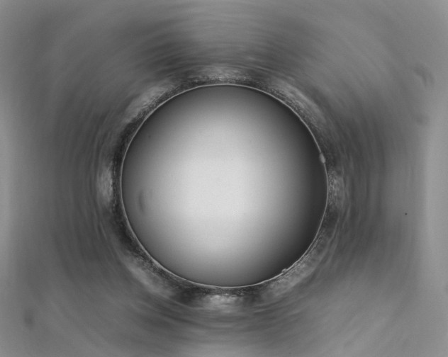 X0000112410158200908141408