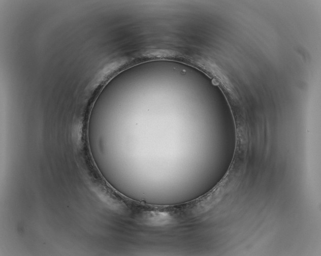 X0000112410159200908141408