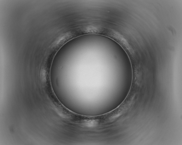 X0000112410161200908141408