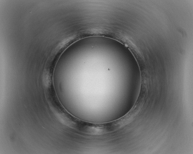 X0000112410164200908141408
