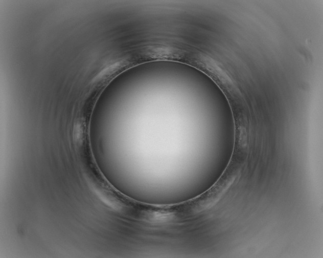 X0000112410165200908141408