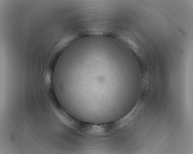 X0000112410166200908141408