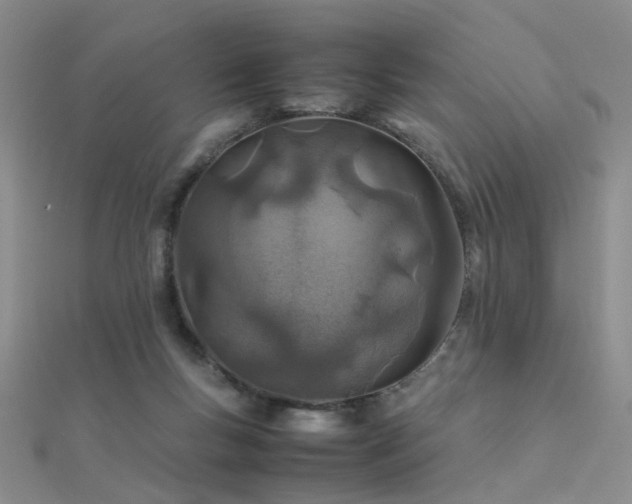 X0000112410167200908141408