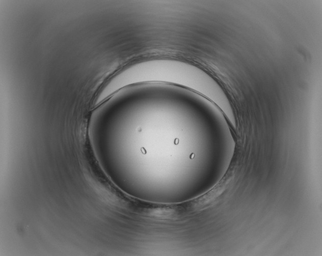 X0000112410168200908141408