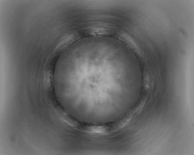 X0000112410169200908141408
