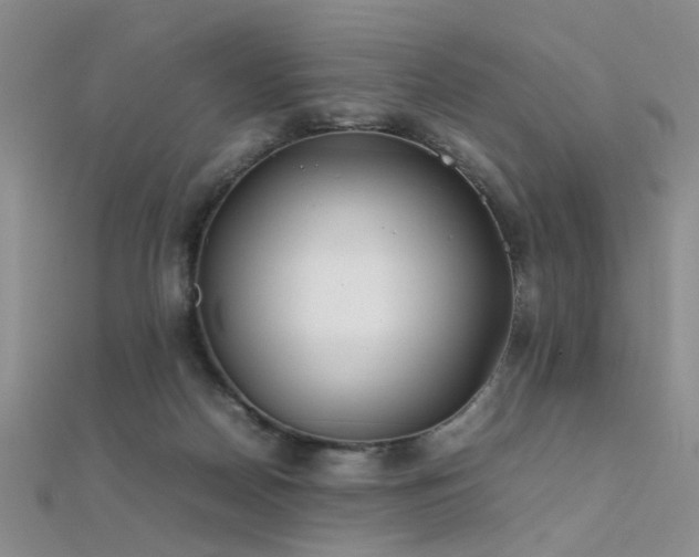 X0000112410170200908141408