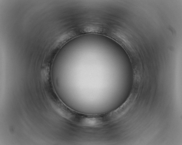 X0000112410171200908141408