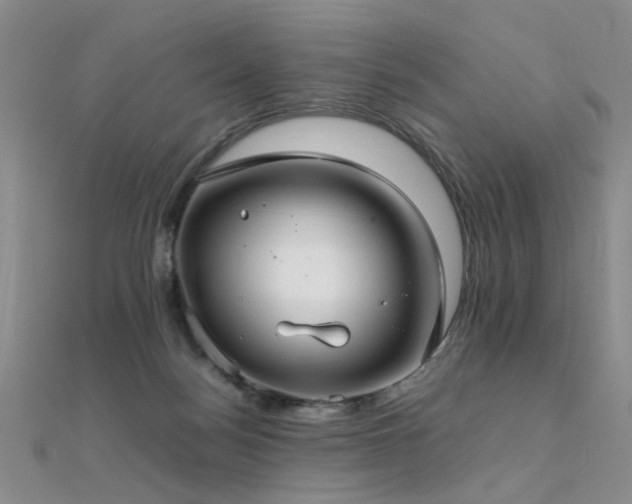 X0000112410172200908141408