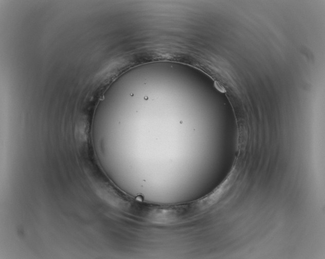 X0000112410174200908141408