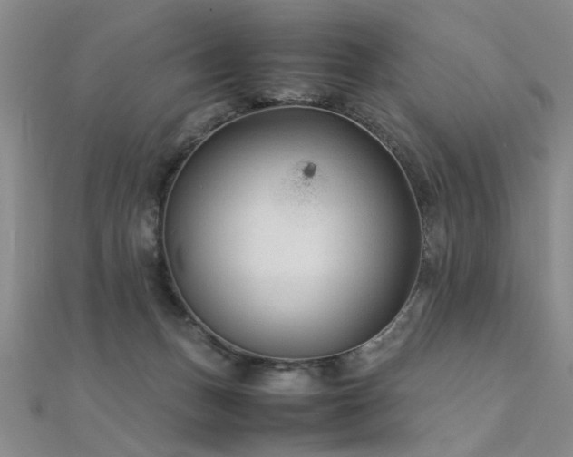X0000112410175200908141408