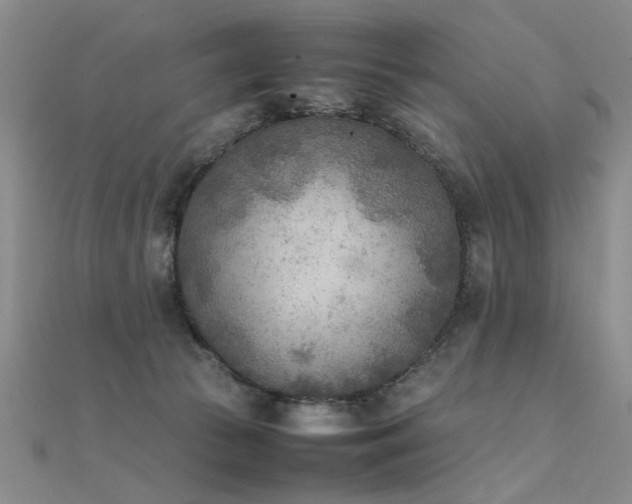 X0000112410177200908141408