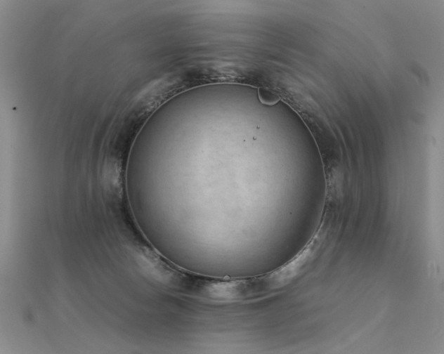 X0000112410178200908141408